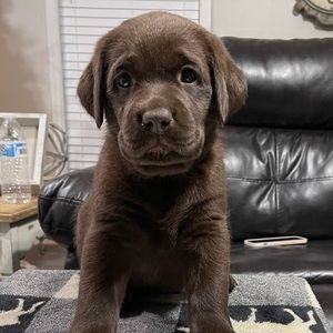 Meet your Posher, Kaitlynn